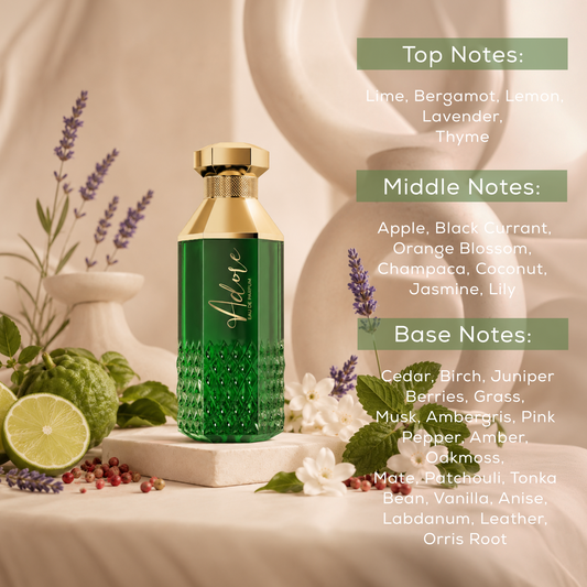 Best perfume in Dubai featuring luxury fragrances for men and women by Vierro.